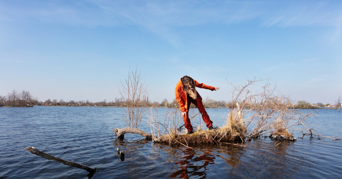 STICHTING JULIDANS logo